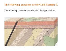 Radiometric dating is based on the rate at which a radioactive isotope decays. Solved 9 Based On The Radiometric Date You Obtained From Chegg Com
