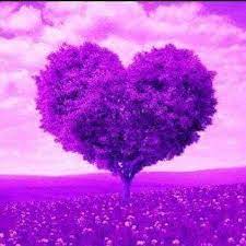 Mi Mundo Morado - A quien le gusta este color????????? | Facebook
