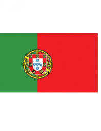 Download flag (filled in with name). Portugal Flagge 90cm X 150cm Partydeko Und Gunstige Faschingskostume Vegaoo