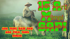 Mimpi diseruduk sapi memiliki makna mimpi yang beragam. 15 Arti Mimpi Tentang Sapi Arti Mimpi Melihat Sapi Arti Mimpi Kotoran Sapi Youtube