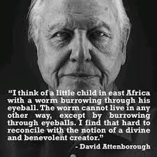 Noah let this worms ride the boat. "I think ofa of a little child in east  Africa with a worm burrowing through his eyeball. The worm cannot live in  any other way,