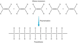 Whats The Difference Between A Monomer And A Polymer Quora