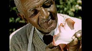 George Washington Carver: Biography, Inventions, Facts - History