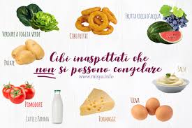 Secondi di natale da congelare. Cibi Inaspettati Che Non Si Possono Congelare Misya Magazine