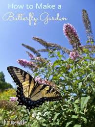 How To Make A Butterfly Garden The Happy Housewife Home Schooling Butterfly Garden Butterfly Bush Garden