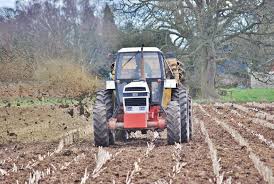 Vintage machinery: classic David Browns in everyday use