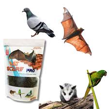 Produto Espantar Morcego Do Telhado Repelente De Morcegos em Promoção na  Americanas