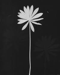 Bildergebnis für The Estate of Anwar Jalal Shemza