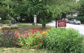 This could be a park, beach or someone's back garden. Many Storms And Seasons Later How Are These Rain Gardens Holding Up Ecological Landscape Alliance Rain Garden Ecology Green Solutions