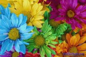 Best online dispensary in canada: Resultado De Imagen De Flower Animated Glitter Pinterest Flower Garden Images Pretty Flowers Wholesale Flowers