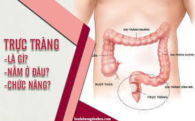 扶董天王), cũng gọi sóc thiên vương (朔天王) nhưng hay được gọi là thánh gióng (chữ nôm: Trá»±c Trang La Gi Náº±m á»Ÿ Ä'au Trong CÆ¡ Thá»ƒ