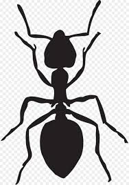 Ant mosquito insect clip art mosquito png download 2389 1344. Semut Men Download Taman Semut Hitam Gambar Png