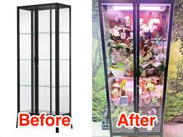If you have short plants, you could add a 3rd shelf and get 5 square feet for about $50 more. People Are Turning A 200 Ikea Cabinet Into Diy Greenhouses For Indoor Plants And A Man With 40 Plants Showed Us His Genius Hack Business Insider India