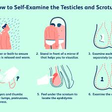 These send information about how our site is used to services called if you do have testicular cancer, the sooner treatment begins, the greater the. One Testicle Bigger Than The Other Is It Normal Or Problematic