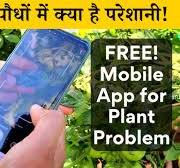 फ्री में पता करें पौधों में क्या है परेशानी! और जानें उपाय | Plantix App  For Plant Problem Diagnosis