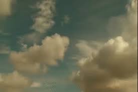 Eigentlich hätte sie mir ihr ganzes leben lang böse sein müssen, hatte ich ihr doch in einem unbedachten moment wesentliche teile ihres innenlebens mittels einer radikaloperation für immer entfernt. 577xkygukas3bm