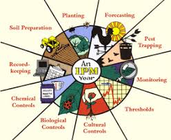 Chemical insecticides have been an important tool in the management of forest insect pests in canadian forests. Integrated Pest Management Bcpabd