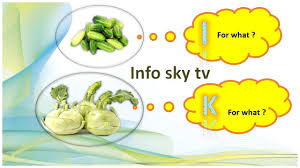 Home · fruit and veggie facts; Learn Vegetables Name For Kids Vegetables Name A To Z Vegtable Name Learn Vegetables Vegetables Abc Youtube