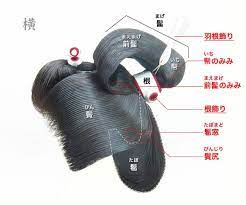 日本髪は 前髪 左右鬢 髷 髱の５つのパーツで構成されています 結い上げる順番は １ 根 ね ２ 髱 たぼ または つと ３ 右鬢 みぎびん ４ 左鬢 ひだりびん ５ 前髪 まえがみ ６ 髷 まげ です 紅白の 前髪飾り 根飾り と 白い 日本のヘア