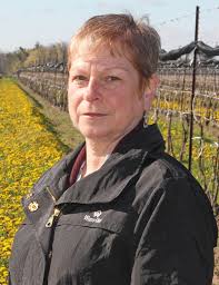 Updates of the Chair