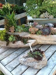 43a5158234e00276e15b87265d508382 jpg 640 856 pixels decoration jardin idees jardin deco bois flotte