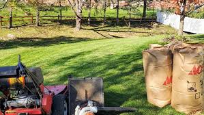 83 reviews ) of all of the lawn care services, yard cutting, and lawn mowing services in ohio, we believe we provide some of the highest standards of lawn service care. Residential Lawn Care Coon Lawns