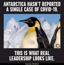 Pin By Gacha Pomegranate On Cute In 2020 Really Funny Memes Funny Relatable Memes Funny