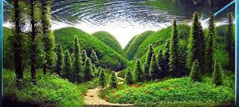 100 Gambar Desain Aquascape Yang Paling Keren Aquarium Landscape Nature Aquarium Aquascape