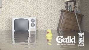 Other tips that you should know get window well covers. My Basement Is Flooding What Do I Do Guild Hms Insurance Group