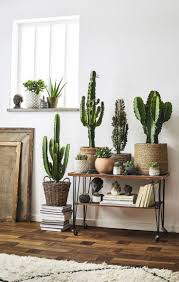 Largest species of cactus can reach 66 feet in height and weigh up to 4800 pounds (when it is fully loaded with water). Kaktus Sisustuksessa Plant Decor Indoor Cactus Decor Plant Decor