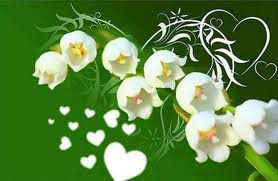 Via .la légende raconte que le dieu apollon tapissa de muguet le gazon du mont parna. Du Muguet Porte Bonheur Le Scrap De Danielle