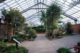 The following 15 files are in this category, out of 15 total. Conservatory Matthaei Botanical Gardens And Nichols Arboretum