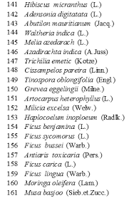 Image result for Haplocoelum inoploeum