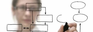 ORGANIGRAMA DE LA EMPRESA