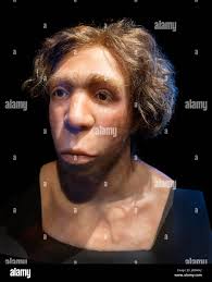 Neanderthal Man High Resolution Stock Photography and Images - Alamy