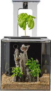 Ecoqube C Aqua Design Innovations Betta Fish Tank Aquaponics Fish Tank