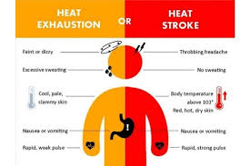Summer Heat And Safety For Athletes The Smith Clinic For