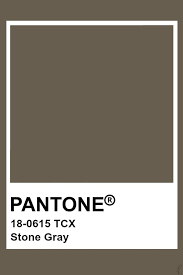 Pantone Stone Gray In 2019 Pantone Pantone Colour