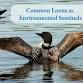 Presentation: Common Loons as Environmental Sentinels