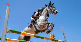Je cherche à entrer dans le monde des chevaux, à les comprendre. Le Cso Definition Competition Reglementation