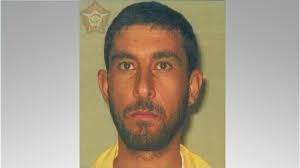 IS Chief of Euphrates area injured in Mosul airstrikes: Kurdistan CT