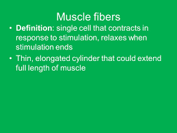 Musculo Skeletal Anatomy Making The Body Move Goals Important Muscle Groups To Know Review Muscle Functions Types And General Anatomy In Depth Look Ppt Download