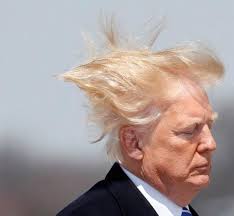 Trump is convinced his 'Horseface' tweet was brilliant