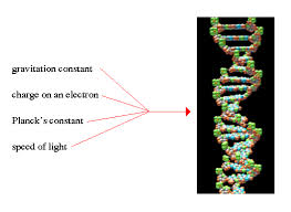 Anthropic Principle