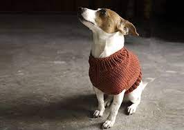 Dog onesie, hand knit dog overall, yellow dog sweater, dog clothes, pet clothing, dog pullover, turtleneck sweater, cabled dog sweater handknit from very soft warm yarn. 12 Dog Sweaters And Other Knitting Patterns For Pups