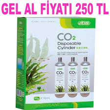Ista Yedek Co2 Tupu 95 Gr 3 Lu 4719856835198 Amazon Pet Center 2020 Amazonlar Bitki Kopek