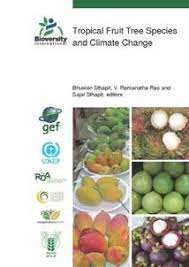 Tropical fruit trees up to 12' flowering trees up to 14' Tropical Fruit Tree Species And Climate Change