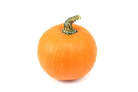 Why are my zucchini orange. A Visual Guide To Winter Squash Varieties Epicurious