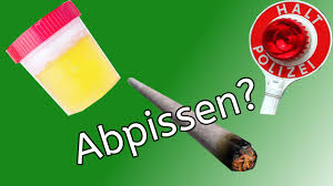 Wie Lange Ist Thc Im Urin Oder Im Blut Nachweisbar
