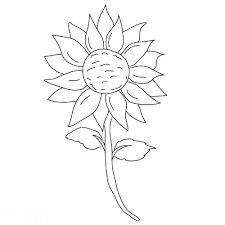 Was eignet sich, was nicht? Blume Sonnenblume Zeichnen Lernen Schritt Fur Schritt Tutorial Zeichnen Leicht Gemacht